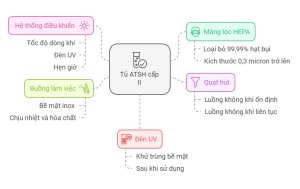 Tủ An Toàn Sinh Học Cấp II Là Gì?