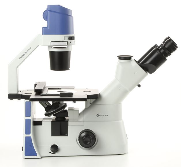 Kính hiển vi soi ngược tương phản pha với bộ vi thao tác ICSI Oxion Inverso OX.2053-PLPH-ICSI