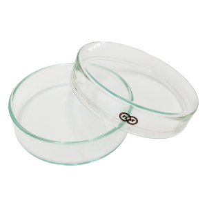 Đĩa Petri thủy tinh FS-70  φ75 x 21mm