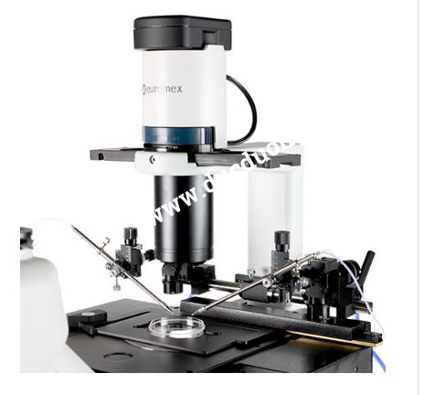 Kính hiển vi soi ngược tương phản pha với bộ vi thao tác ICSI Oxion Inverso OX.2053-PLPH-ICSI
