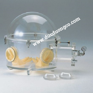 Buồng cách ly DV type