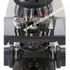 Kính hiển vi quang học Euromex Delphi-X Observer Model: DX.1153‑APLi