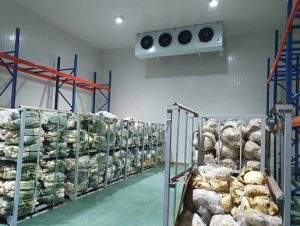 Automated Cold Storage Temperature Recording Solution for the Food Industry