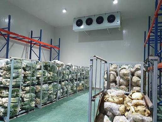 Automated Cold Storage Temperature Recording Solution for the Food Industry