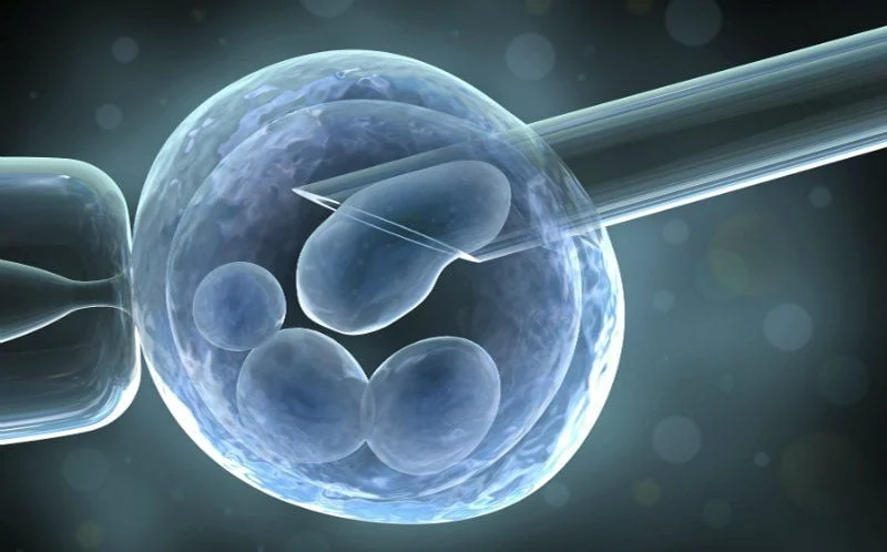 Giải pháp IVF – Hỗ Trợ Sinh Sản